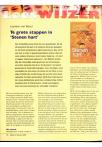 Te grote stappen in 'Stenen hart'