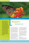 Kappers bestaan niet