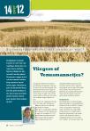 Vliegers of Venusmannetjes?