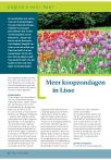 Meer koopzondagen in Lisse