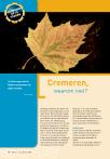 Cremeren, waarom niet?