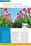 Bloemen in het land