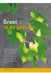 Groei in de genade