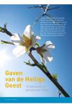 Gaven van de Heilige Geest