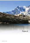 Psalm 8