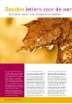 Gouden letters voor de wereld