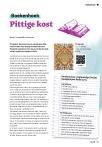 Pittige kost