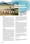 Herders en hun schapen