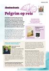 Pelgrim op reis