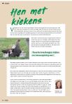 Hen met kiekens