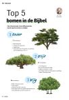 Top 5 bomen in de Bijbel