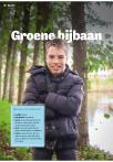 Groene bijbaan