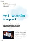 Het wonder in de poort