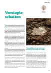 Verstopte schatten
