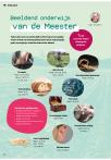 Beeldend onderwijs van de Meester