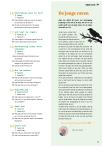 De jonge raven