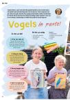 Vogels in pastel